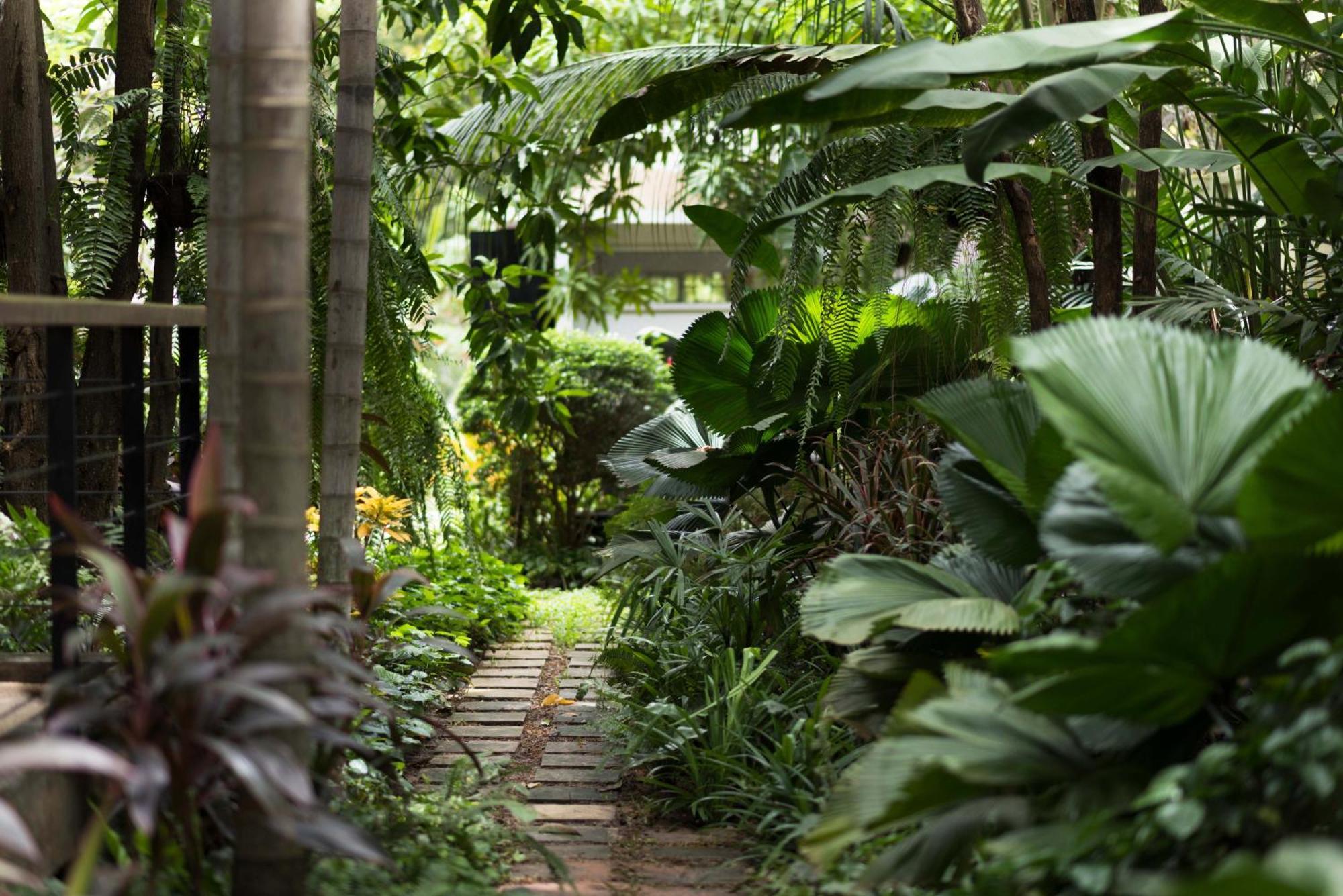 סיאם ריפ Sokkhak Boutique Resort & Spa מראה חיצוני תמונה
