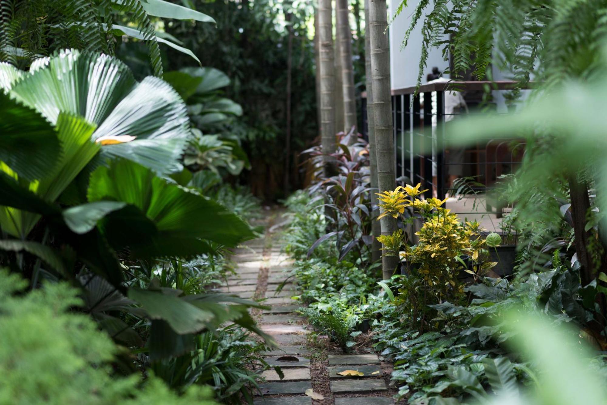 סיאם ריפ Sokkhak Boutique Resort & Spa מראה חיצוני תמונה